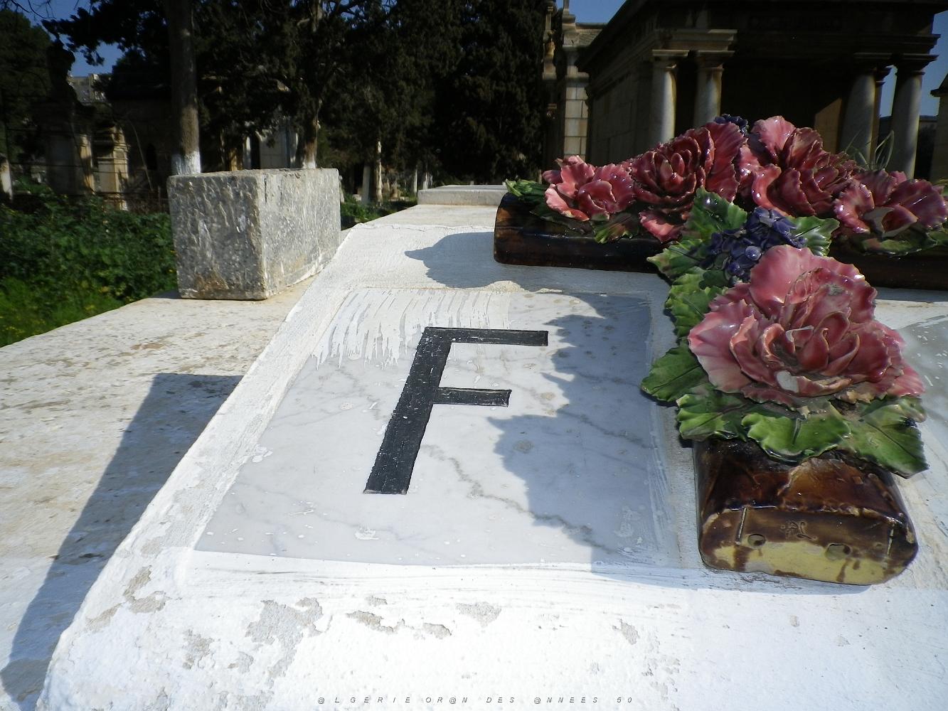 CIMETIERE DE TAMAZOUHET D ORAN EN MARS 2012  (113).JPG